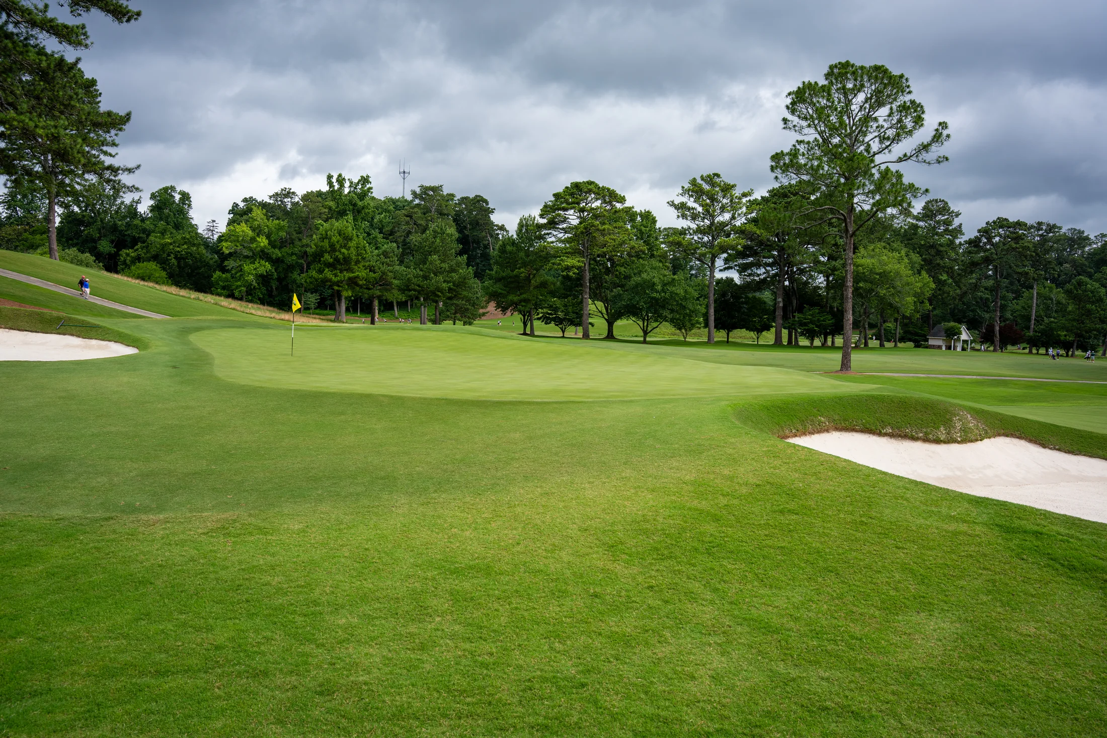 Dogwood Invitational golf action at Druid Hills Golf Club