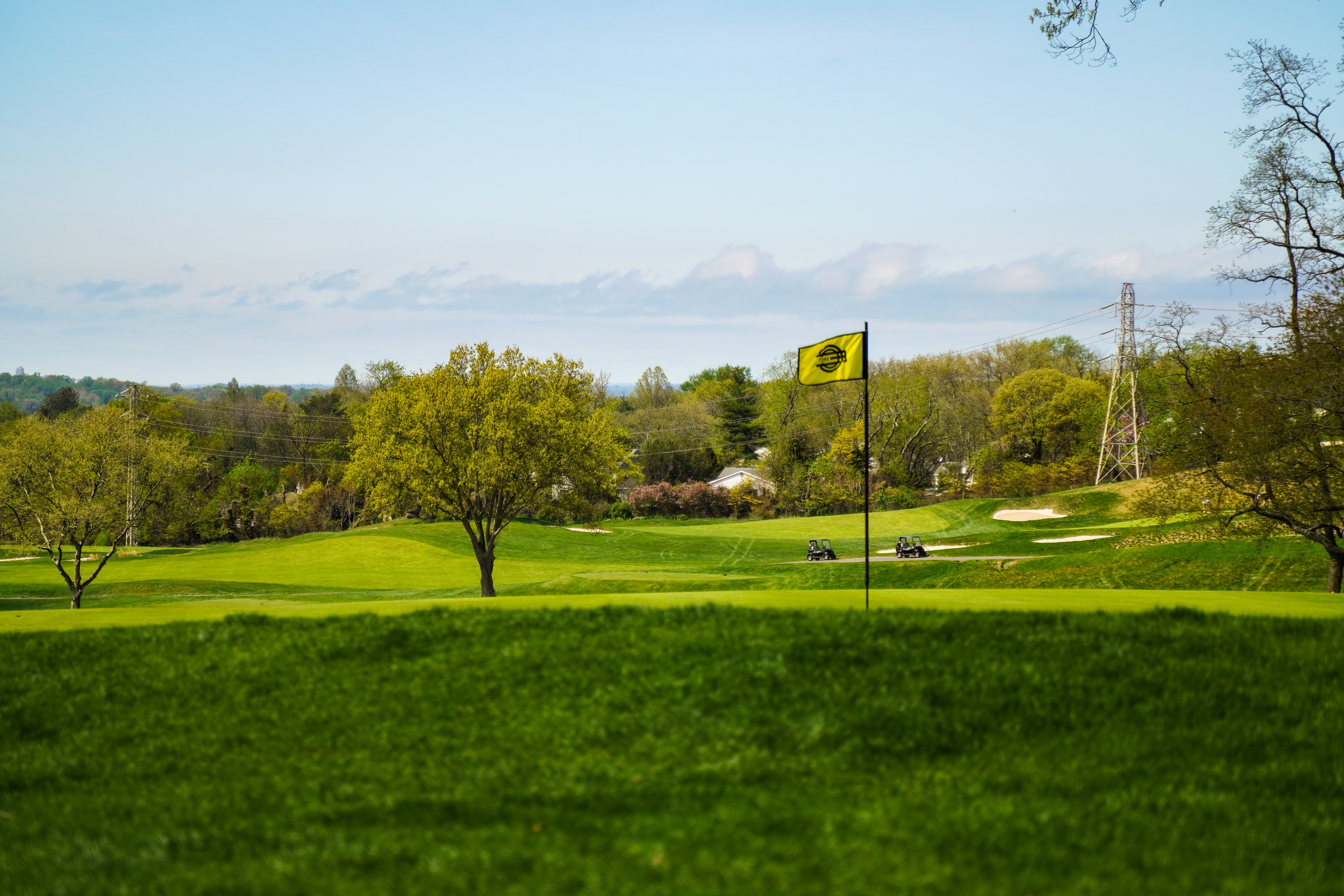 Golf course green and flag surrounded by spring trees